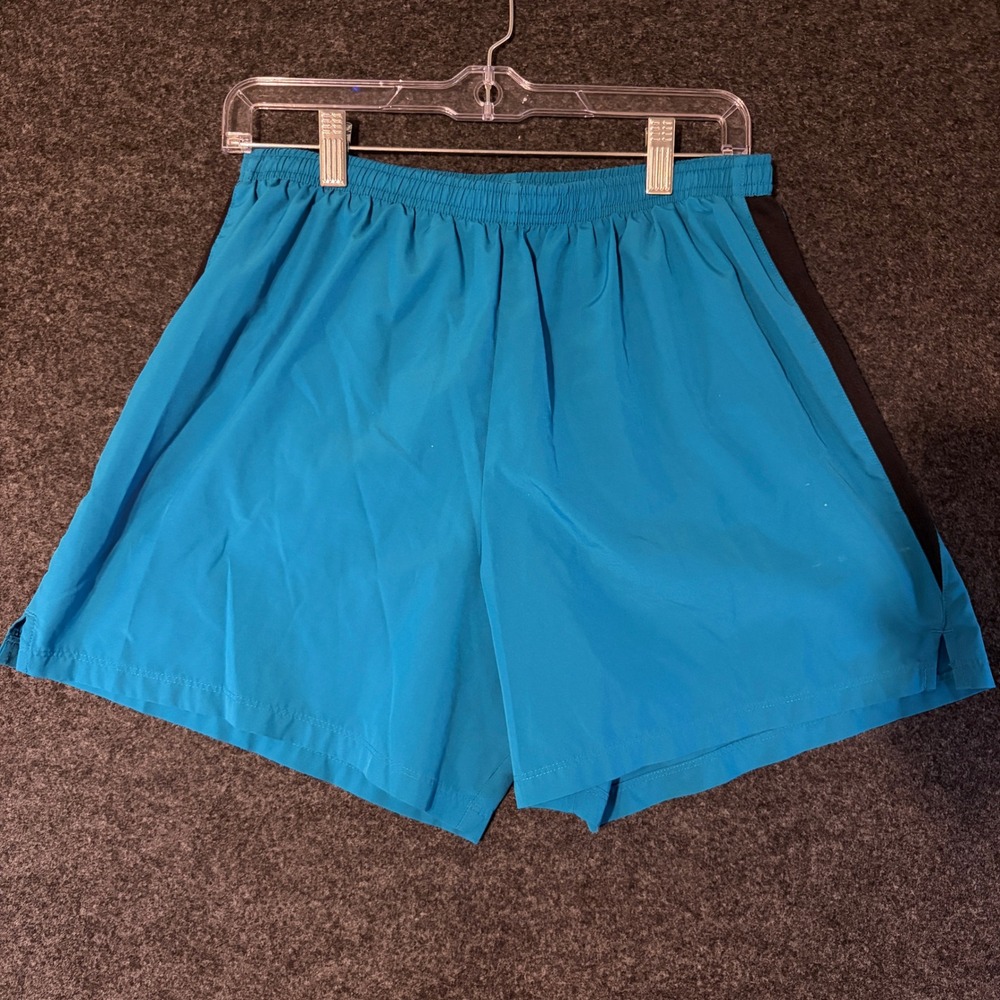 Nike Dri-Fit Mens Large Teal Blue Running Shorts Black Stripe Athletic Gym